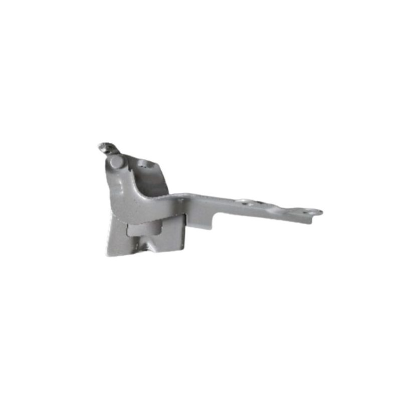 BISAGRA CAPOT DERECHO R791202E000